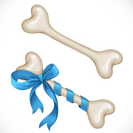 Bone for dog bandaged with gift bow and without bow object isolated on a white backgroundのイラスト素材