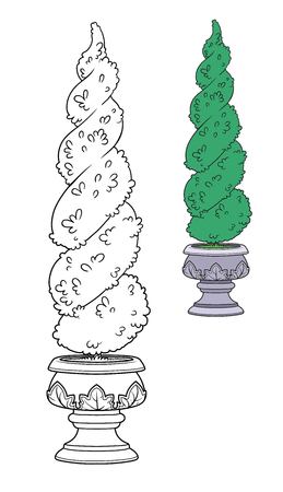 Figure-trimmed bush in a garden flowerpot color and outlined for coloringのイラスト素材
