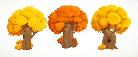 Set of old thick trees with autumn yellow foliage  drawing isolated on whiteのイラスト素材