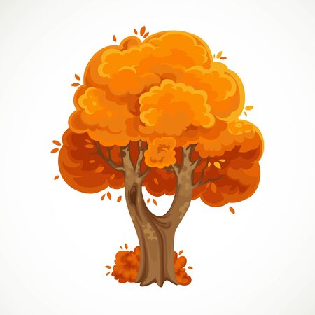 Autumn bifurcated tree  with orange foliage vector drawing isolated on white backgroundのイラスト素材