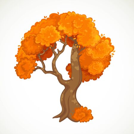 Autumn tree with orange foliage vector drawing isolated on white backgroundのイラスト素材