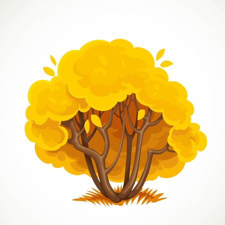 Low bush with a yellow autumn leaves vector drawing isolated on white backgroundのイラスト素材