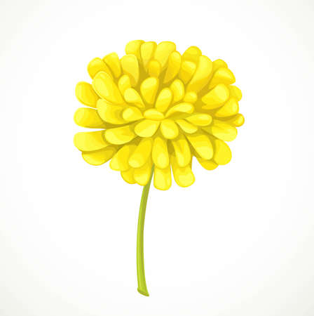 Yellow flower isolated on a white backgroundのイラスト素材
