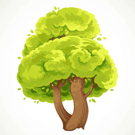 Summer big tree with a fork and green foliage vector drawing isolated on white backgroundのイラスト素材
