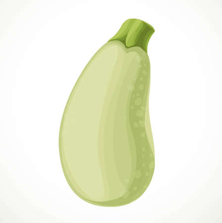Ripe squash isolated on white backgroundのイラスト素材