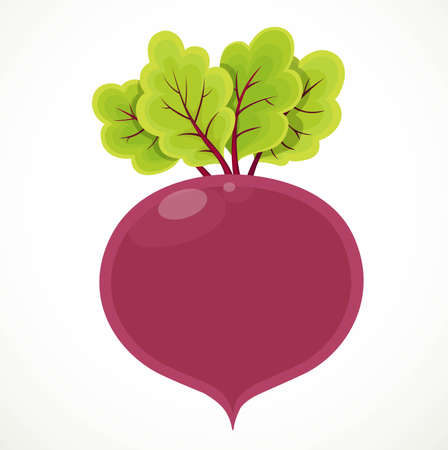 Red beetroot isolated on white backgroundのイラスト素材