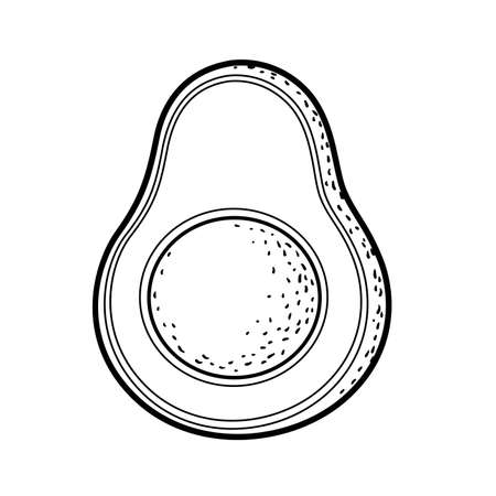 Avocado linear drawing on white backgroundのイラスト素材