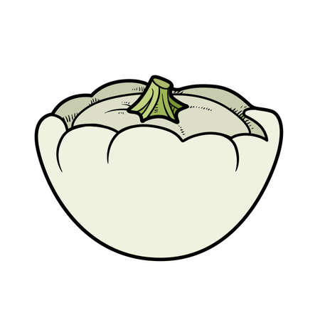 Squash color variation for coloring page isolated on white backgroundのイラスト素材