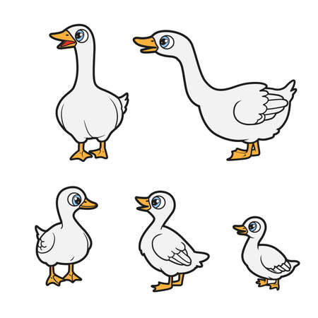 Big and small cartoon geese and goslings color variation for coloring book on white backgroundのイラスト素材