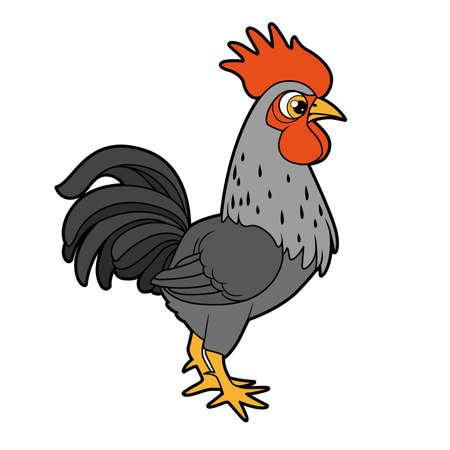 Cute cartoon big rooster color variation for coloring book on white backgroundのイラスト素材