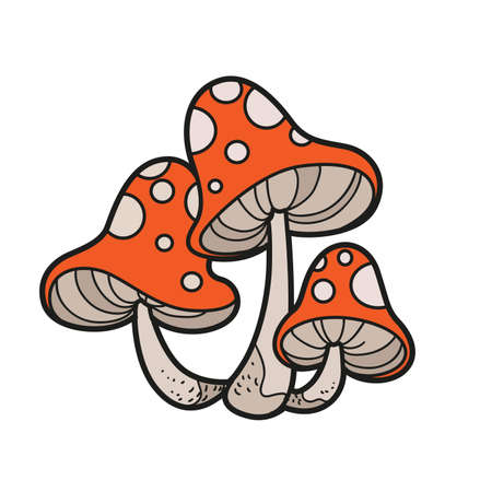 Poisonous fly agaric color variation for coloring page isolated on white backgroundのイラスト素材