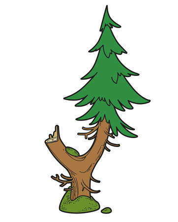 Spruce with fork and stump old tree color variation for coloring page isolated on white backgroundのイラスト素材