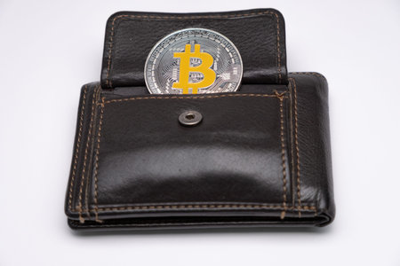 One Bitcoins on the wallet pocket. Cryptocurrency concept, bitcoin BTC standing on leather wallet....