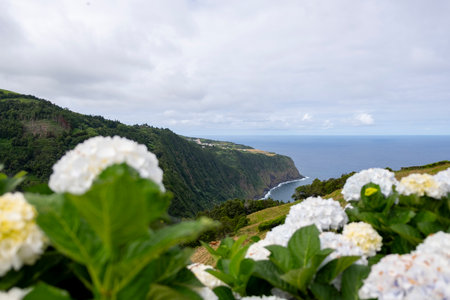 Beautiful landscape in Ponta do Sossego in Nordeste on the island of Sao Miguel in the Azoresの写真素材