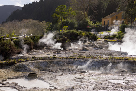 Geyser in Furnas Hot Springs, Sao Miguel Island, Azores, Portugalの写真素材