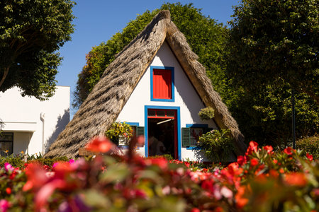 The typical Santana house. Santana, Madeira island, Portugalの写真素材