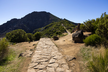 Hiking trail in the mountains of Pico Ruivo in Summer. Madeira island, Portugal