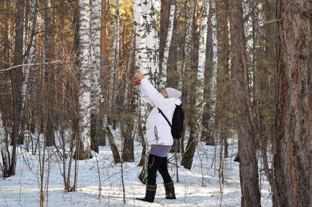a woman collects viburnum in the winter forestの写真素材