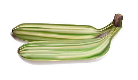 decorative striped bananasのイラスト素材