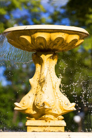 The fountain in the parkの写真素材