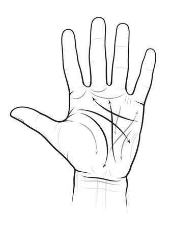 Chiromancy Chart of a Palm: lines and waysのイラスト素材