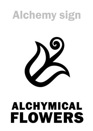 Alchemy Alphabet: Alchymical FLOWERS (Flores Alchymici) â sublimate crystalline form of substance (eg. radial crystals of salts, metals, etc.), or crystalline powder, any solid product of sublimation.のイラスト素材