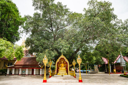 In respect Buddha in Thailand