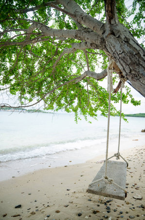 The seat is made of wood tied to a tree on the beach.の写真素材