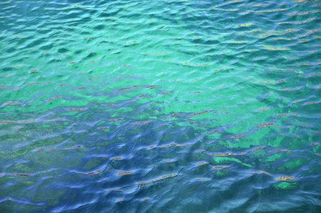 Beautiful surface of the turquoise - blue the sea, summer day.の写真素材