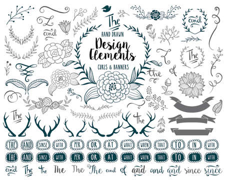 Hand drawn vector elementsのイラスト素材