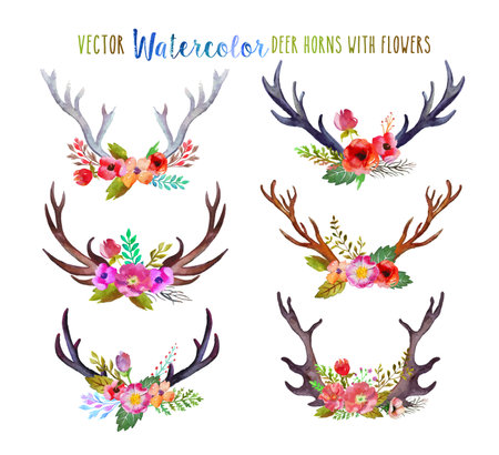 Vector watercolor deer hornsのイラスト素材