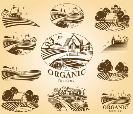 Vector design elements with rural landscapes.のイラスト素材