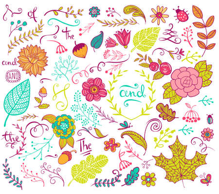 Vector floral design  elements in doodle style, hand-drawn flowers and insects and plantsのイラスト素材