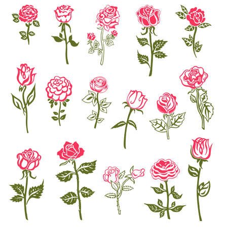 Roses design elementsのイラスト素材