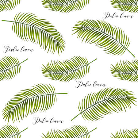 Vector palm tree leaves seamless backgroundのイラスト素材
