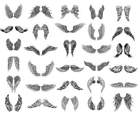 Thirty pairs of wings, graphic illustrationのイラスト素材