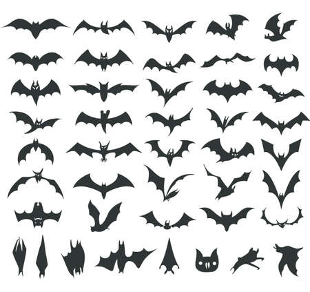 Various silhouettes of bats on white backgroundのイラスト素材