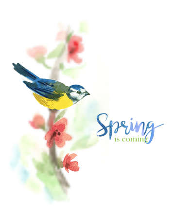 Gentle watercolor background with titmouseのイラスト素材