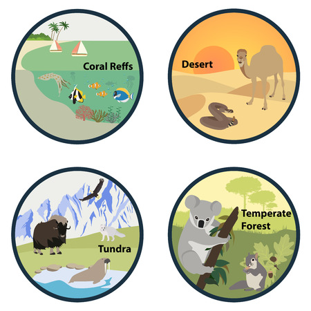 Habitats of the World vector setのイラスト素材