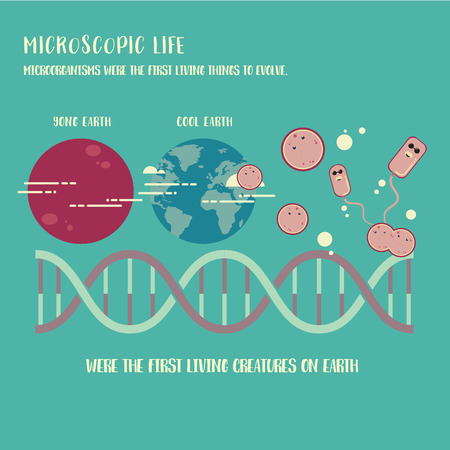 Microorganism life infographic illustration vectorのイラスト素材