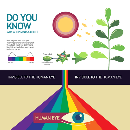 How you know why are plant green illustration design.のイラスト素材