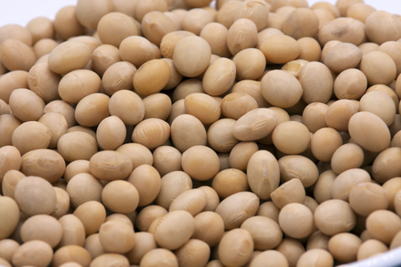 Soy beans on white background high protein Close-up Selective focus seeds Soya bean pulses in a wooden spoon (Glycine max (L.) Merr.)の写真素材