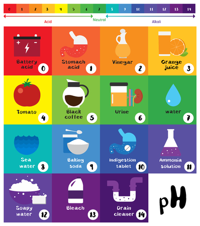 The pH scale Universal Indicator pH Color Chart diagram acidic alkaline values common substances vector illustration flat icon design Colorfulのイラスト素材