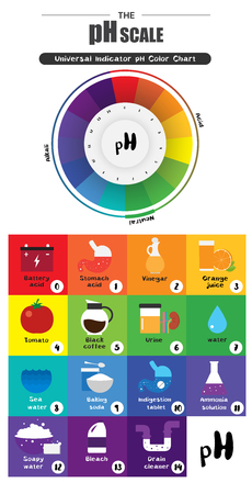 The pH scale Universal Indicator pH Color Chart diagram acidic alkaline values common substances vector illustration flat icon design Colorfulのイラスト素材