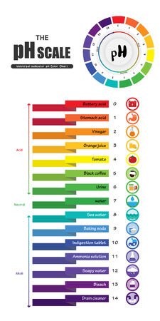 The pH scale Universal Indicator pH Color Chart diagram acidic alkaline values common substances vector illustration flat icon design Colorfulのイラスト素材