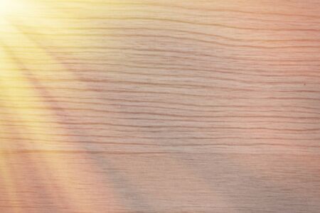 Wood texture for design and decoration top viewの写真素材
