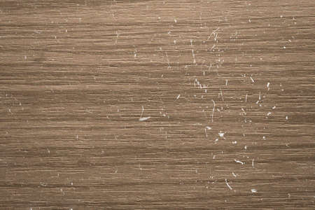 Wood texture for design and decoration top viewの写真素材