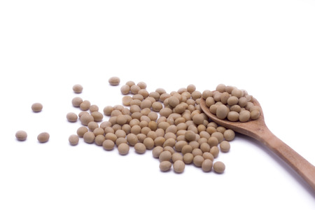 Soy beans on white background high protein Close-up Selective focus seeds Soya bean pulses in a wooden spoon (Glycine max (L.) Merr.)の写真素材