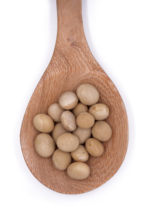 Soy beans on white background high protein Close-up Selective focus seeds Soya bean pulses in a wooden spoon (Glycine max (L.) Merr.)の写真素材