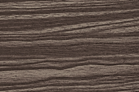Wood texture for design and decorationの写真素材